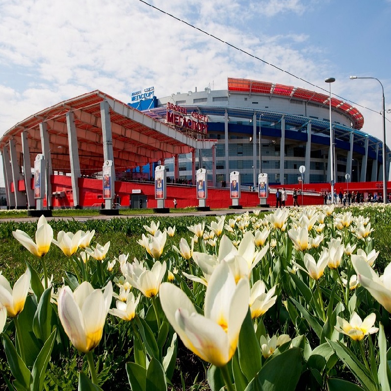 Стадион Мегаспорт с красно-синей архитектурой на фоне синего неба, перед ним клумба с бело-желтыми тюльпанами
